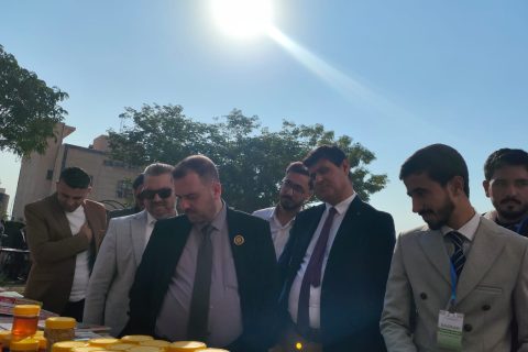 2c74fb66-6a93-491a-b3c3-ce3e85b383e1