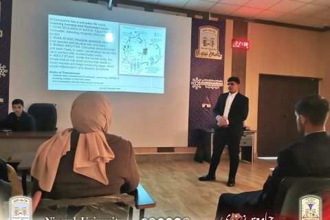 4d41c480-c4ef-4942-aa5a-084c8e22ebbb