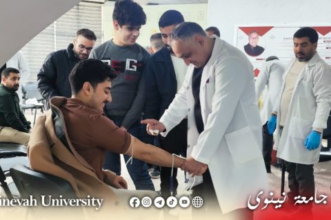 c83e38e6-4f45-4c05-8e1b-0c6bab2d1311