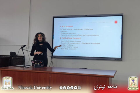 47289f2d-4af2-468a-a4c2-bea1aa538757