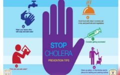 817e5285-2370-431c-95c8-007c53ec80e4