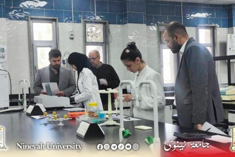 a455af99-cd01-4ab2-aaf6-fdc4254a274a