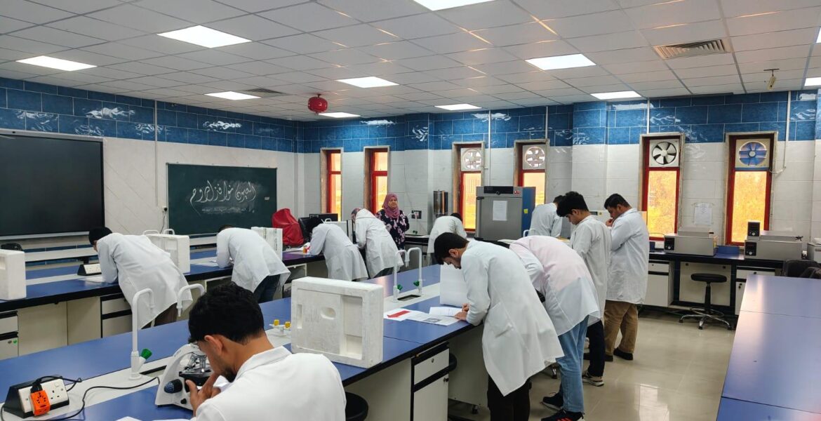 de6bf736-d8f0-49d7-ac2c-facdd859796e