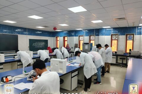 de6bf736-d8f0-49d7-ac2c-facdd859796e